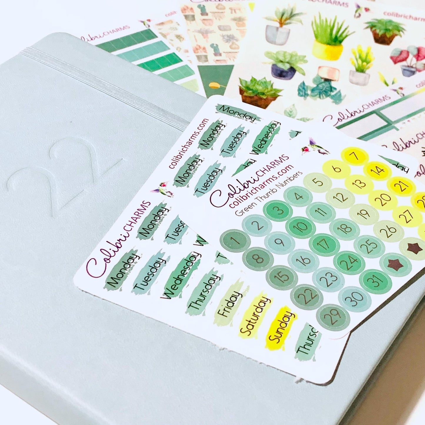 Green Thumb Brushstroke Days of the Week Planner Stickers | Watercolor DOTW Stickers | Number Stickers | Date Dots | Date Stickers