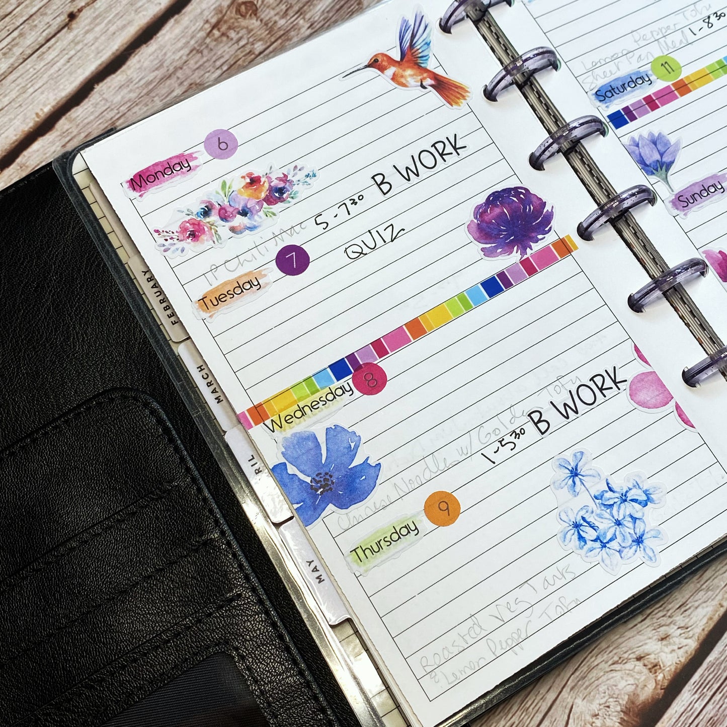 Hummingbird Lane Brushstroke Days of the Week Planner Stickers | Colorful Watercolor DOTW | Number Stickers | Date Dots