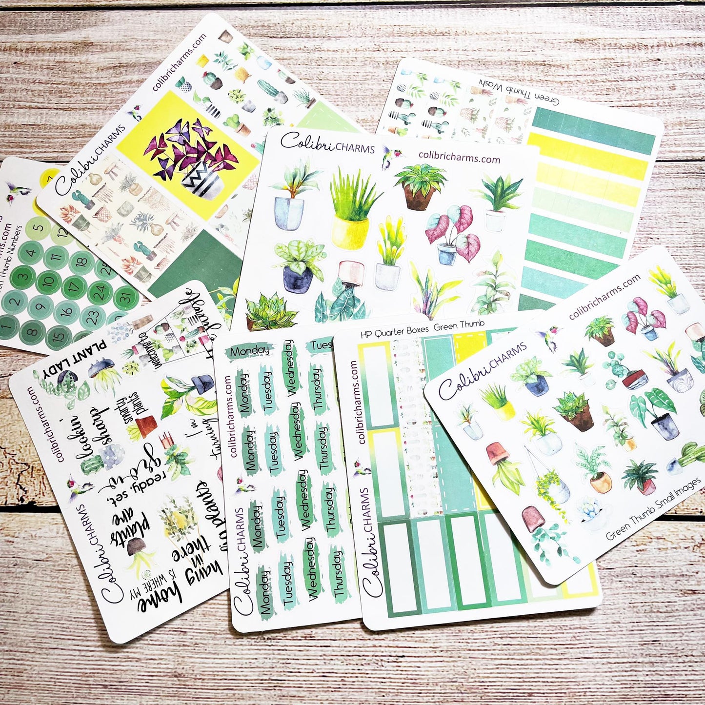 Green Thumb Washi Strip Stickers | Houseplant Stickers | Plant Fan Planner Stickers | Seasonal Planner Stickers