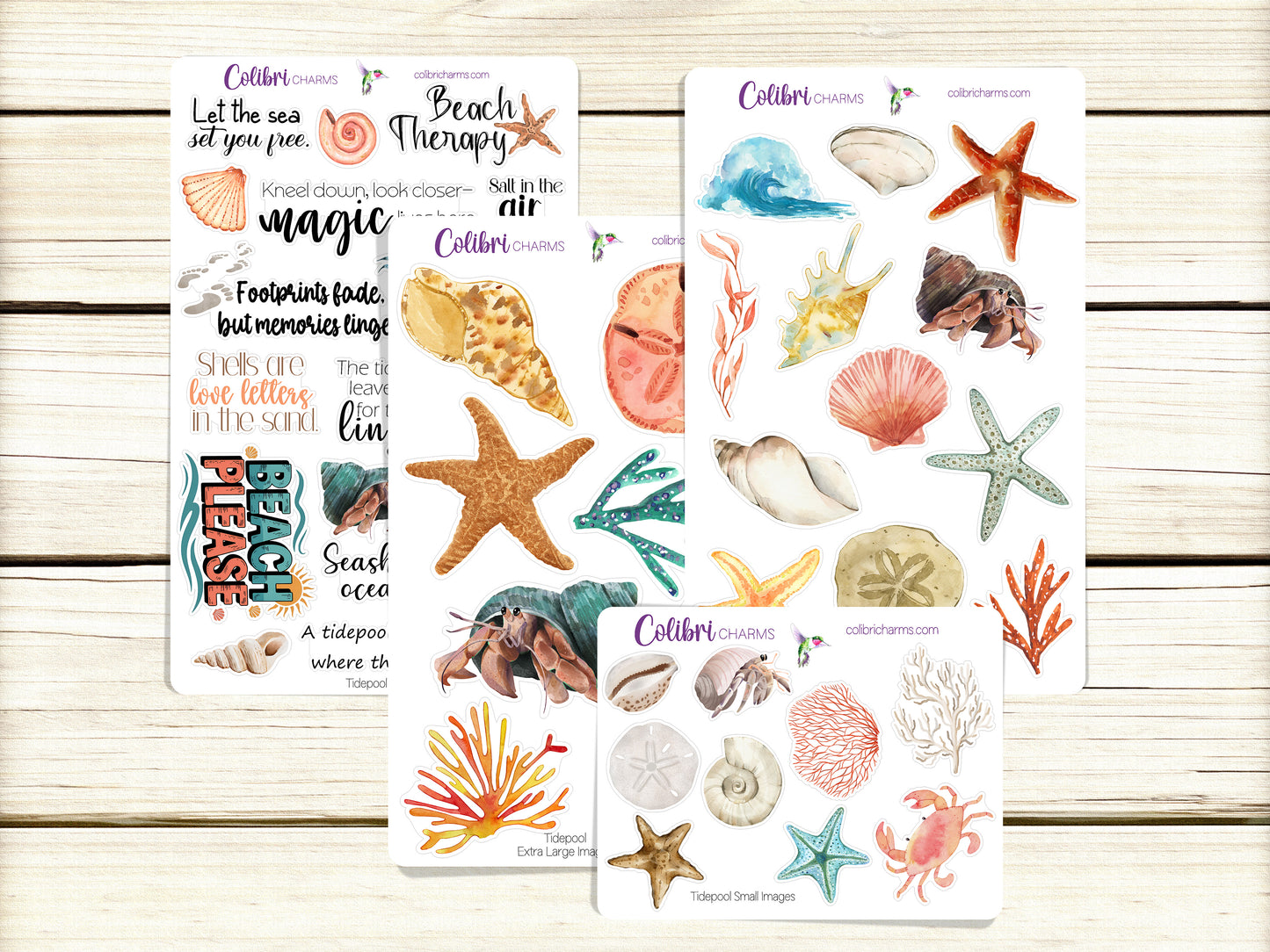 Tidepool Planner Stickers, Seaside Deco Stickers, Beachy Deco, Seashells Planner Sticker Kit, Seasonal Planner Stickers