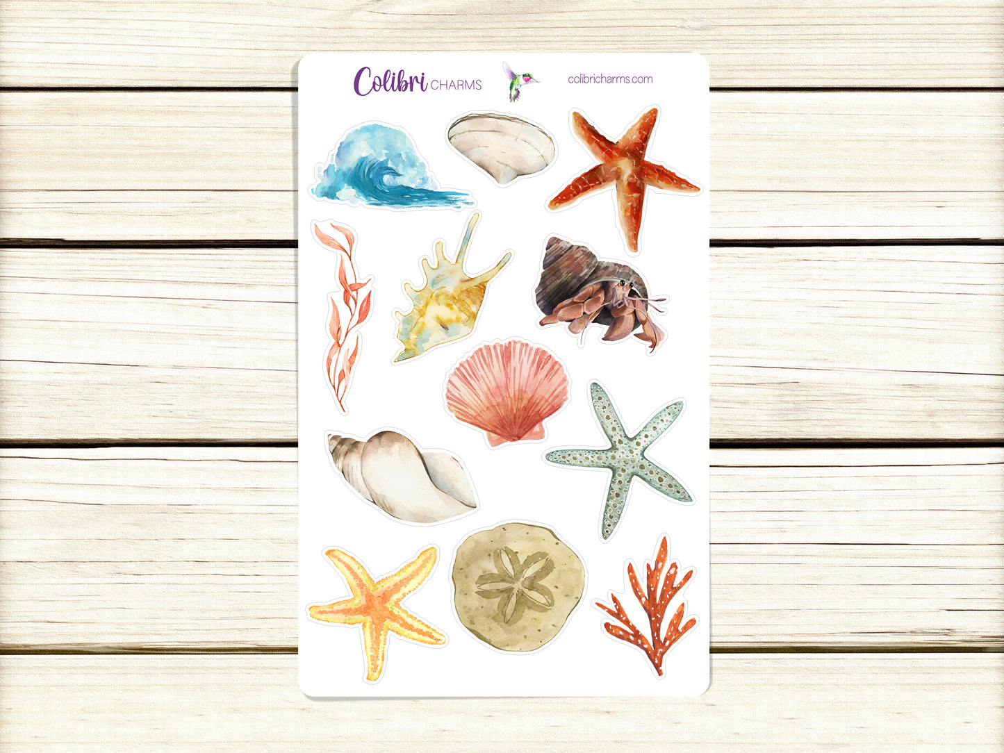 Tidepool Planner Stickers, Seaside Deco Stickers, Beachy Deco, Seashells Planner Sticker Kit, Seasonal Planner Stickers