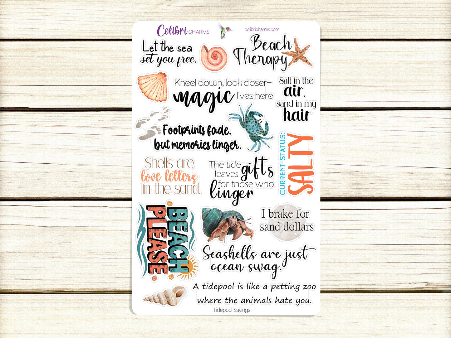 Tidepool Planner Stickers, Seaside Deco Stickers, Beachy Deco, Seashells Planner Sticker Kit, Seasonal Planner Stickers