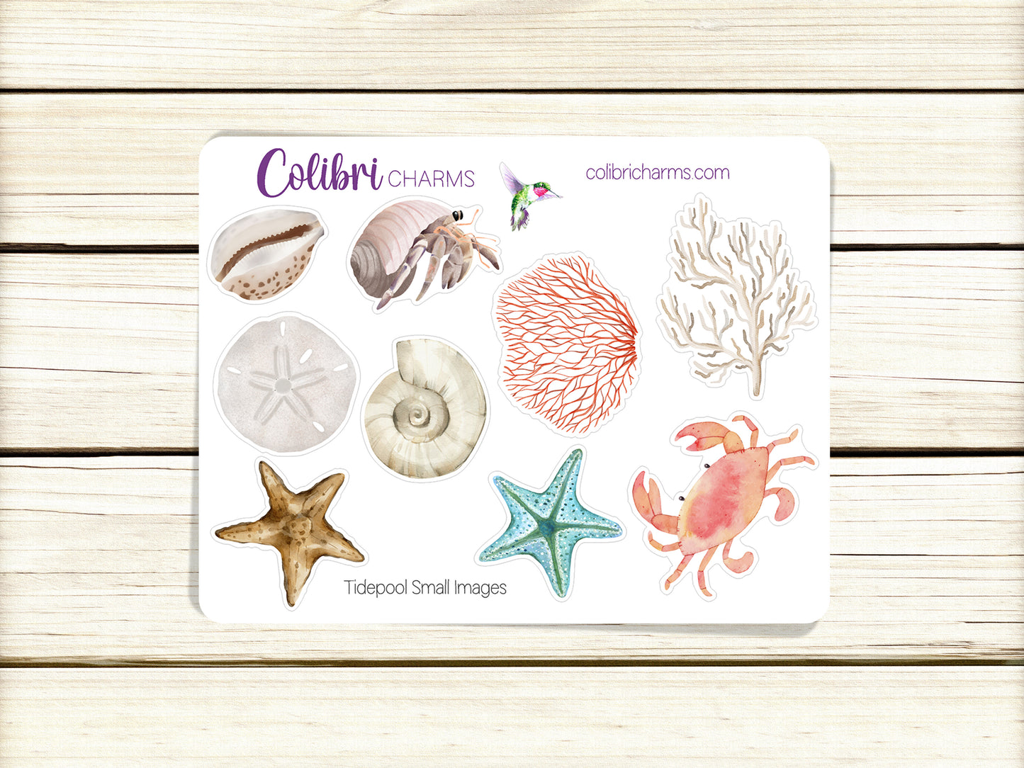 Tidepool Planner Stickers, Seaside Deco Stickers, Beachy Deco, Seashells Planner Sticker Kit, Seasonal Planner Stickers