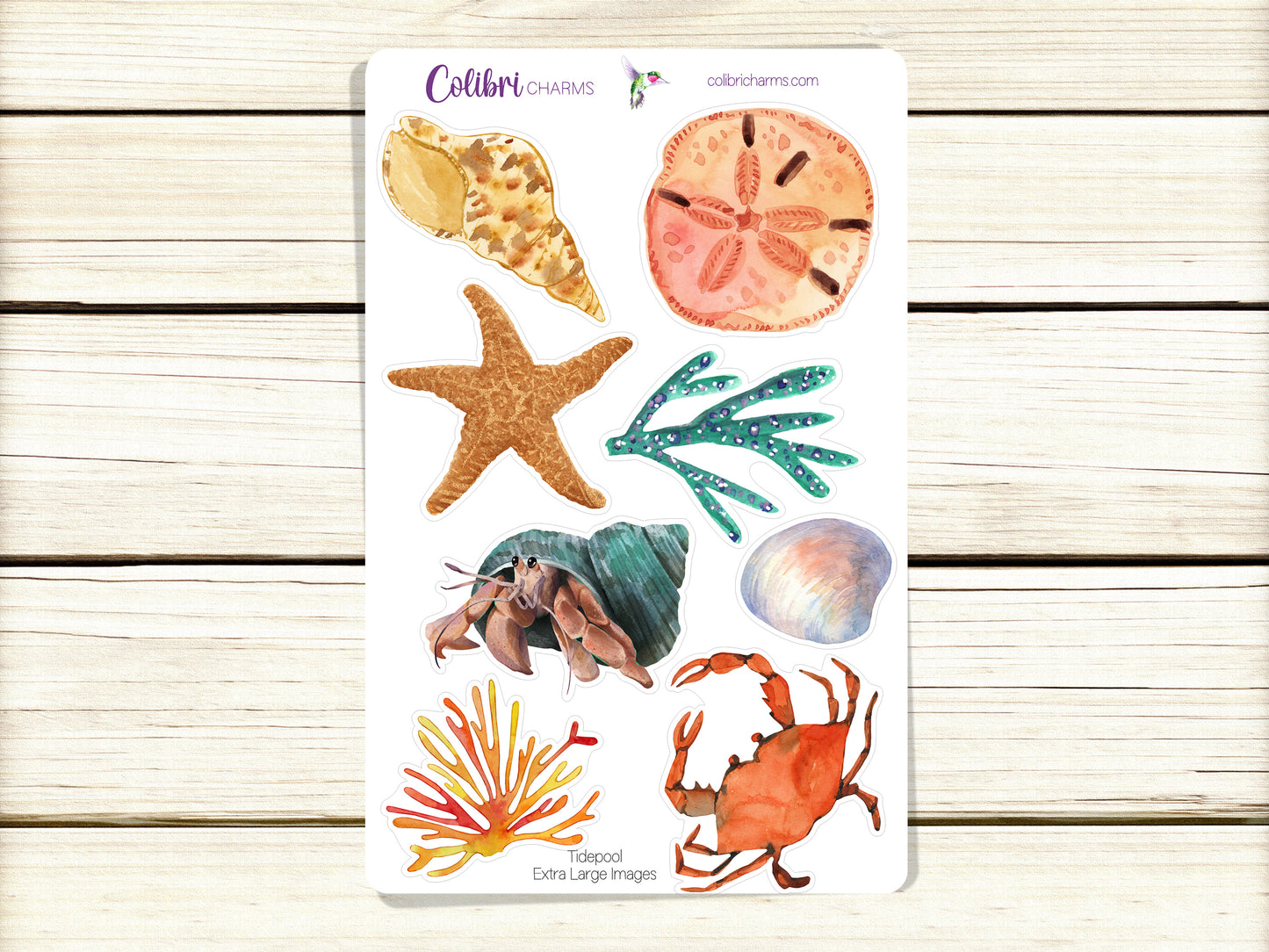Tidepool Planner Stickers, Seaside Deco Stickers, Beachy Deco, Seashells Planner Sticker Kit, Seasonal Planner Stickers
