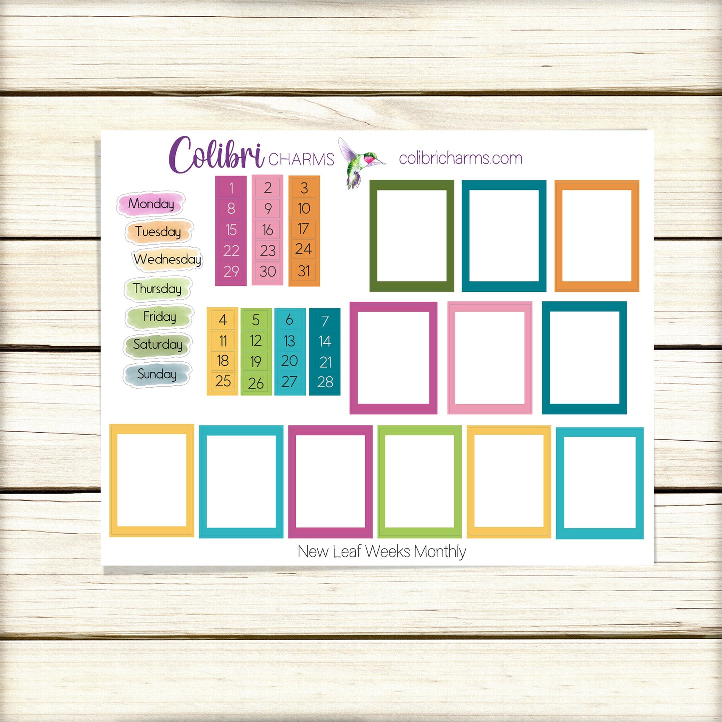 New Leaf Weeks Monthly Planner Stickers | Colorful Watercolor DOTW | PrintPression | Hobonichi |Tiny Number Stickers | Date Dots