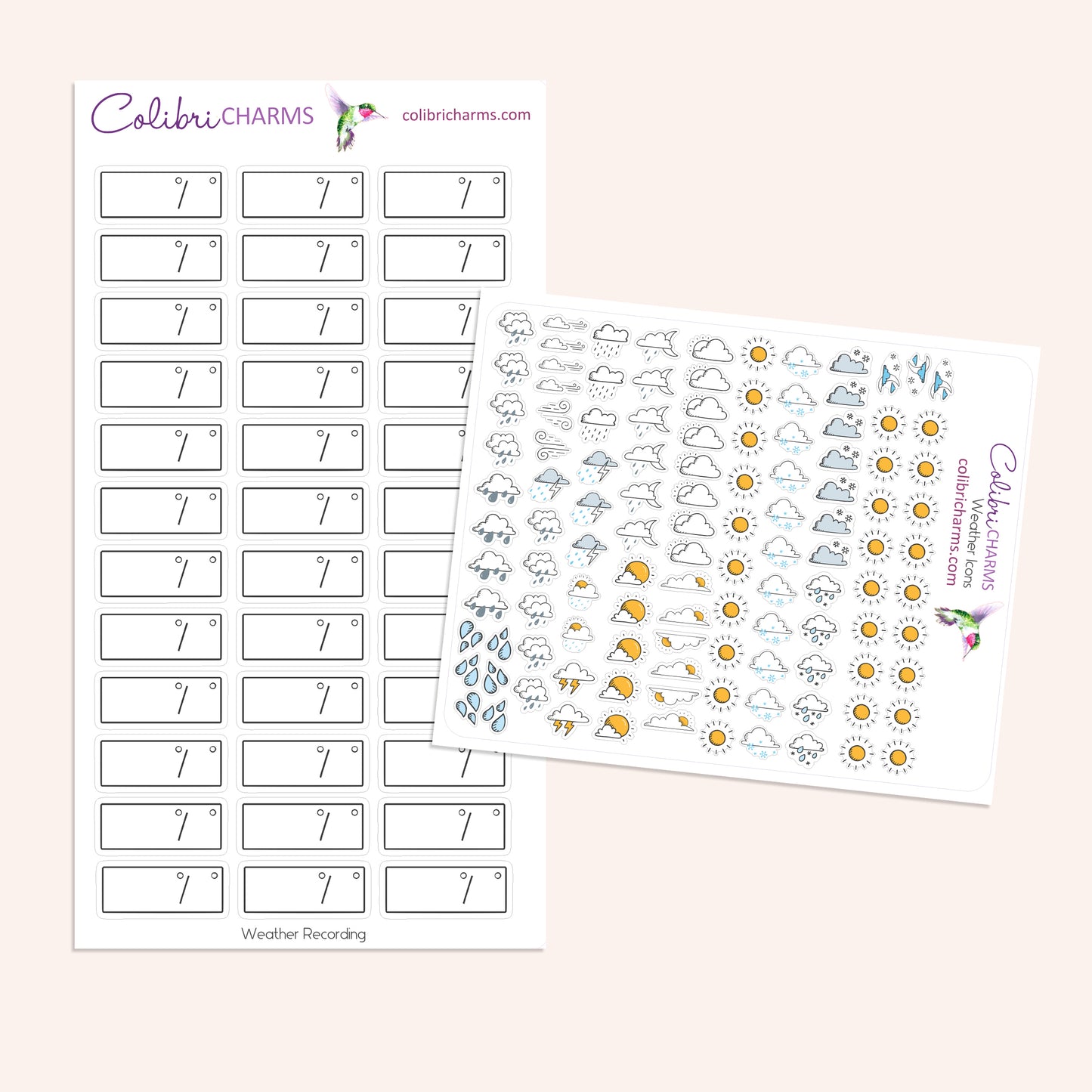 Weather Recording Planner Stickers | Weather Tracker Stickers | Rainy Day Stickers | Seasonal Planner Stickers