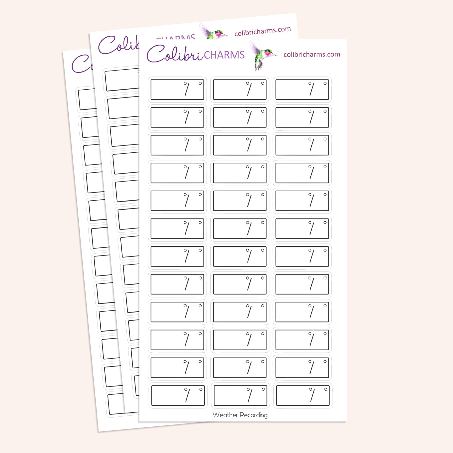 Weather Recording Planner Stickers | Weather Tracker Stickers | Rainy Day Stickers | Seasonal Planner Stickers