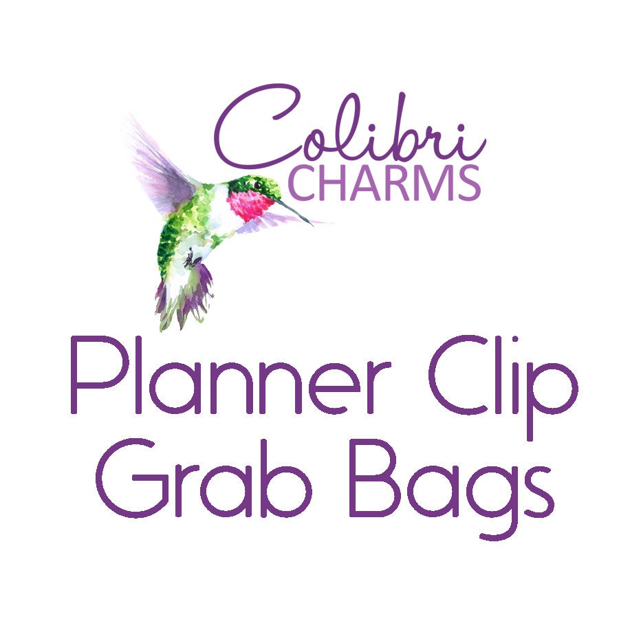 Six Mystery Clips | Planner Clips Grab Bag | Mystery Assortment