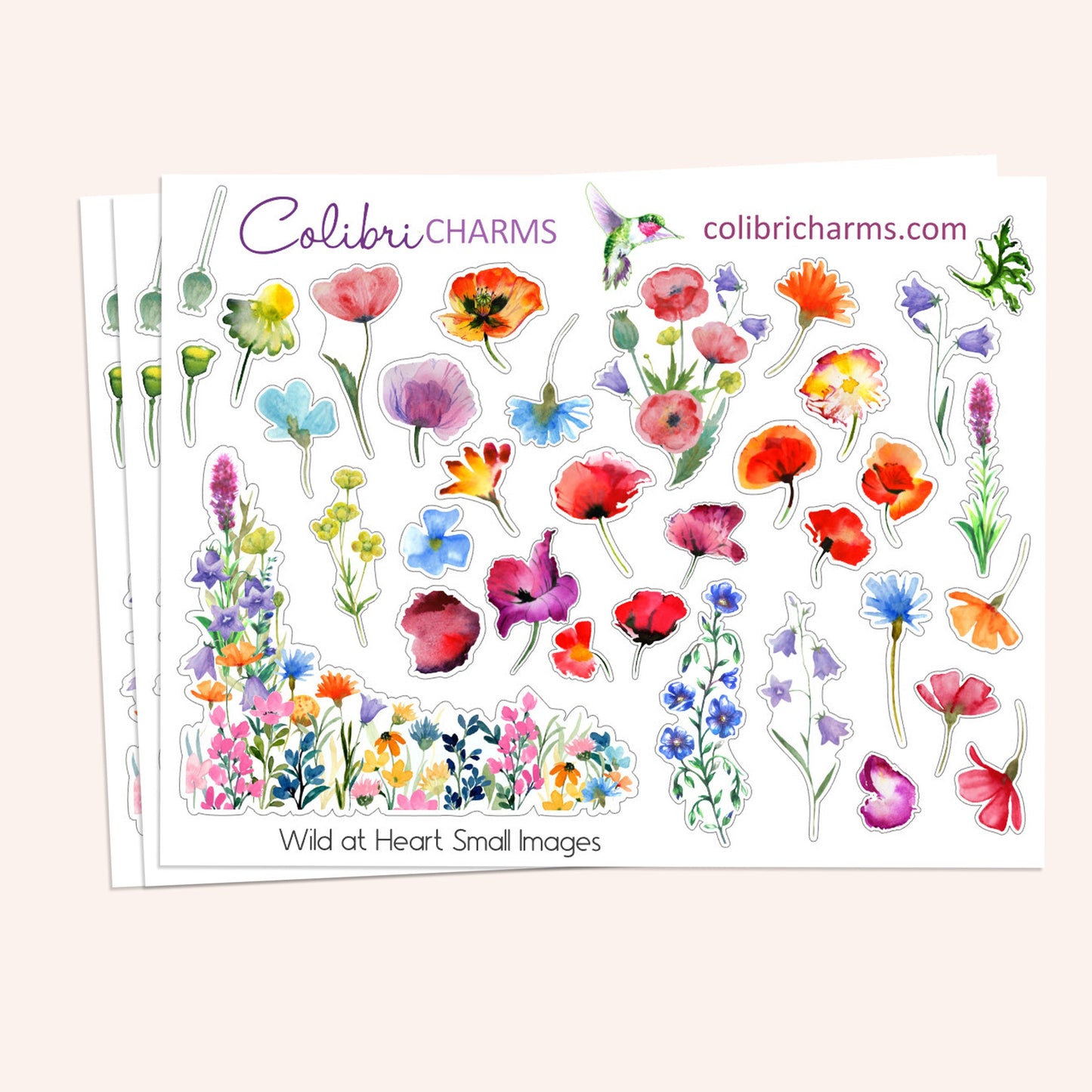 Wild at Heart Planner Stickers | Wildflowers Stickers | Poppy Stickers | Planner Sticker Kit | Seasonal Floral Planner Stickers