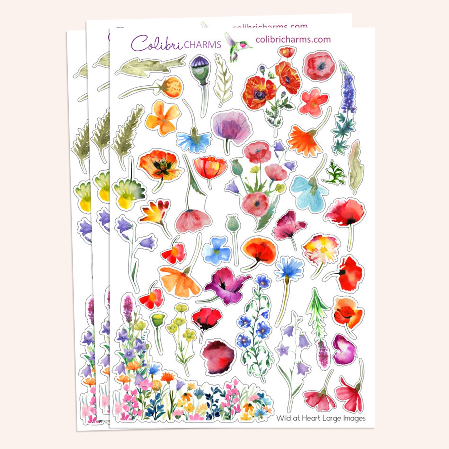 Wild at Heart Planner Stickers | Wildflowers Stickers | Poppy Stickers | Planner Sticker Kit | Seasonal Floral Planner Stickers