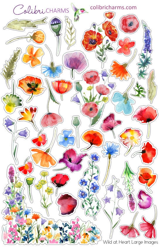 Wild at Heart Planner Stickers | Wildflowers Stickers | Poppy Stickers | Planner Sticker Kit | Seasonal Floral Planner Stickers