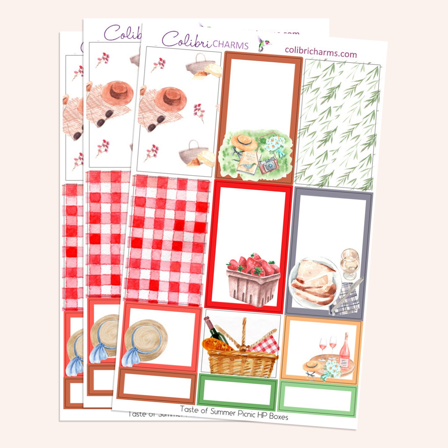 Taste of Summer Picnic Box Planner Stickers | Picnic Blanket Stickers | Summertime Stickers | Happy Planner Stickers | Seasonal Planner