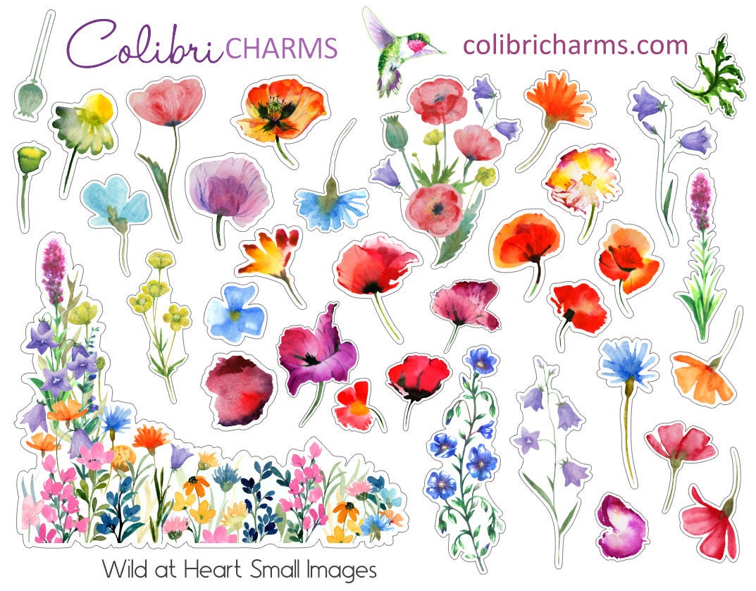 Wild at Heart Planner Stickers | Wildflowers Stickers | Poppy Stickers | Planner Sticker Kit | Seasonal Floral Planner Stickers