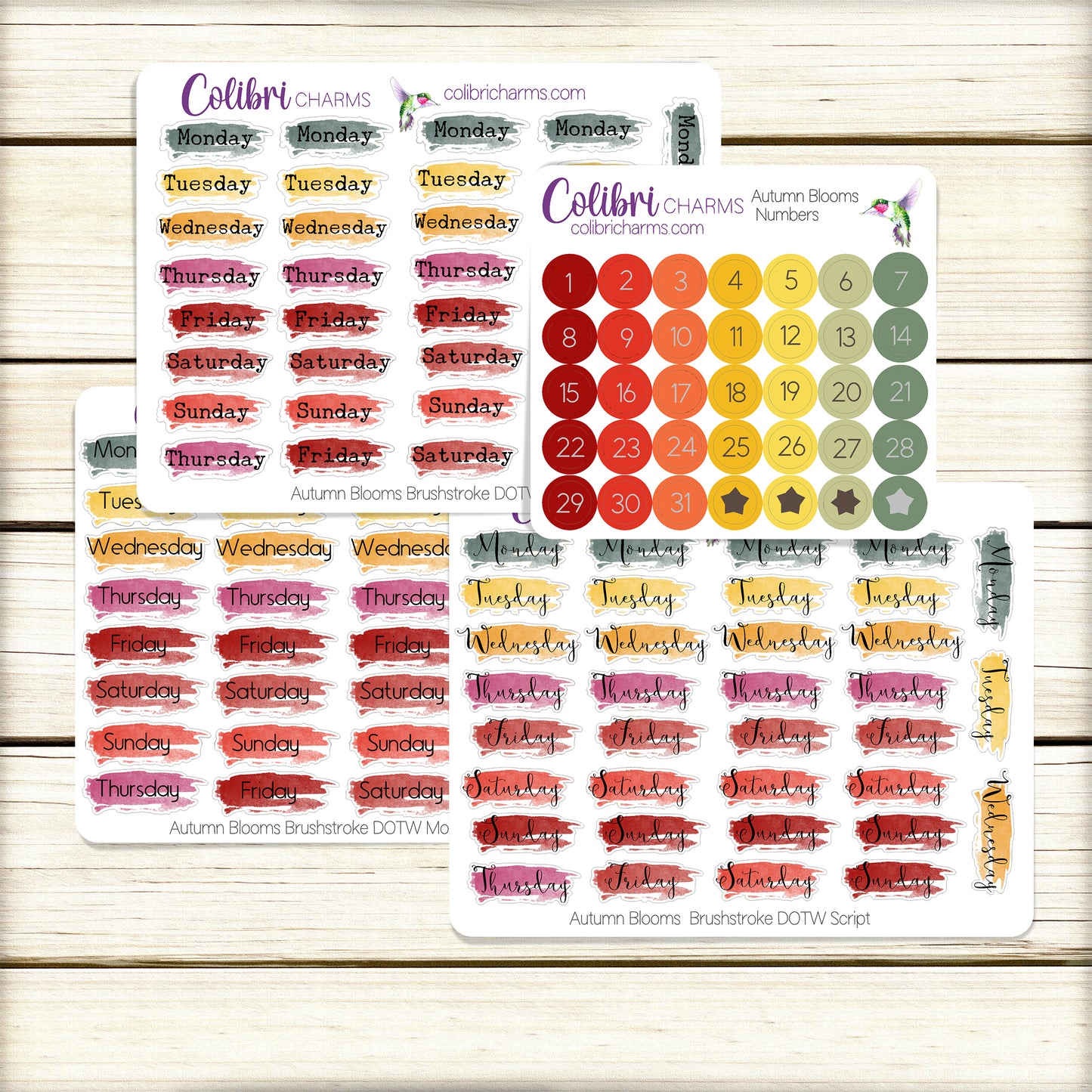 Autumn Blooms Brushstroke Days of the Week Planner Stickers | Colorful Watercolor DOTW | Number Stickers | Date Dots