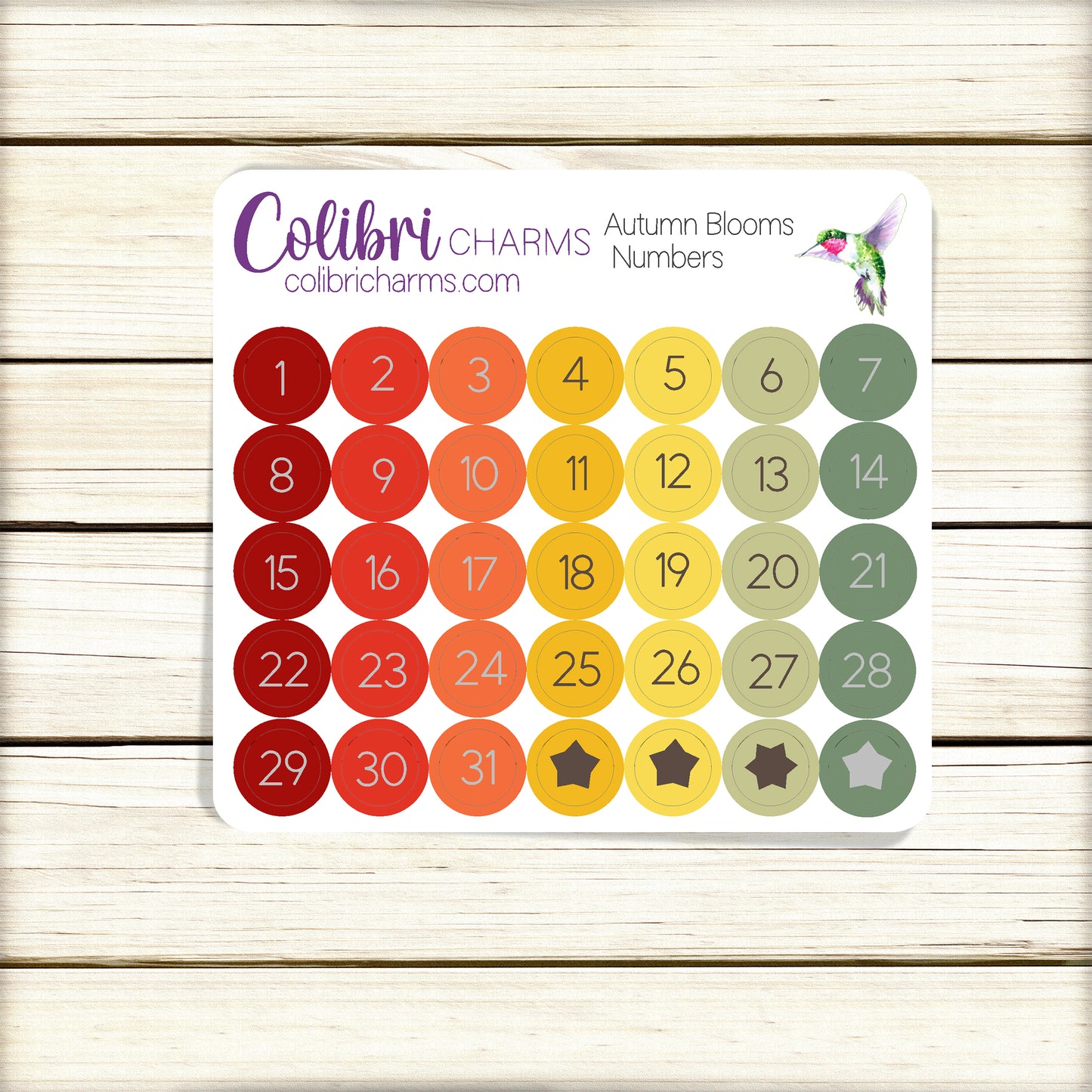 Autumn Blooms Brushstroke Days of the Week Planner Stickers | Colorful Watercolor DOTW | Number Stickers | Date Dots