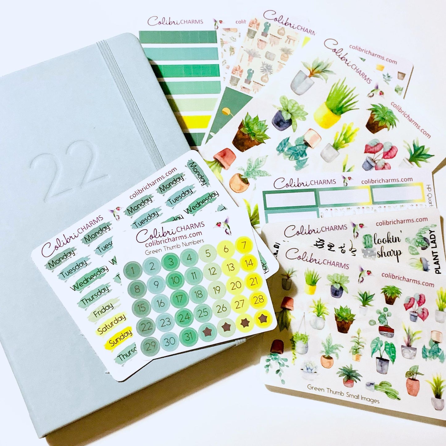 Green Thumb Planner Stickers | Plant Lovers’ Stickers | Plant Fan Stickers | Houseplant Stickers | Seasonal Planner Stickers