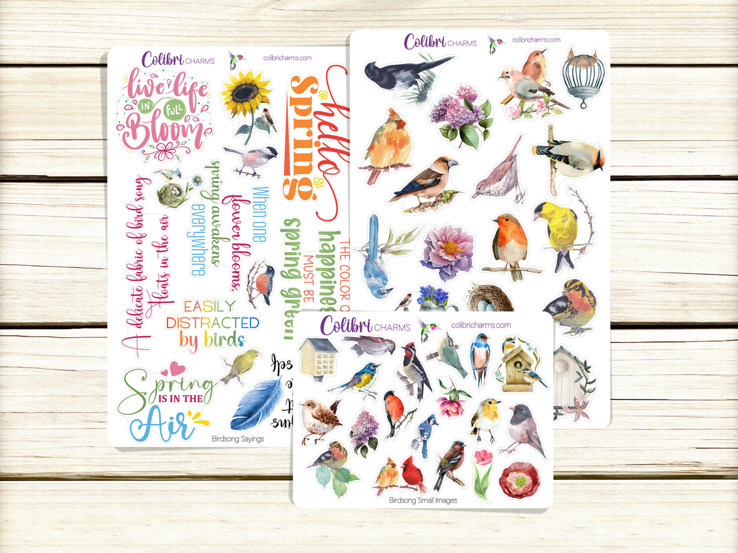 Birdsong Planner Stickers | Springtime Deco Stickers | Spring Deco | Floral Planner Sticker Kit | Seasonal Planner Stickers