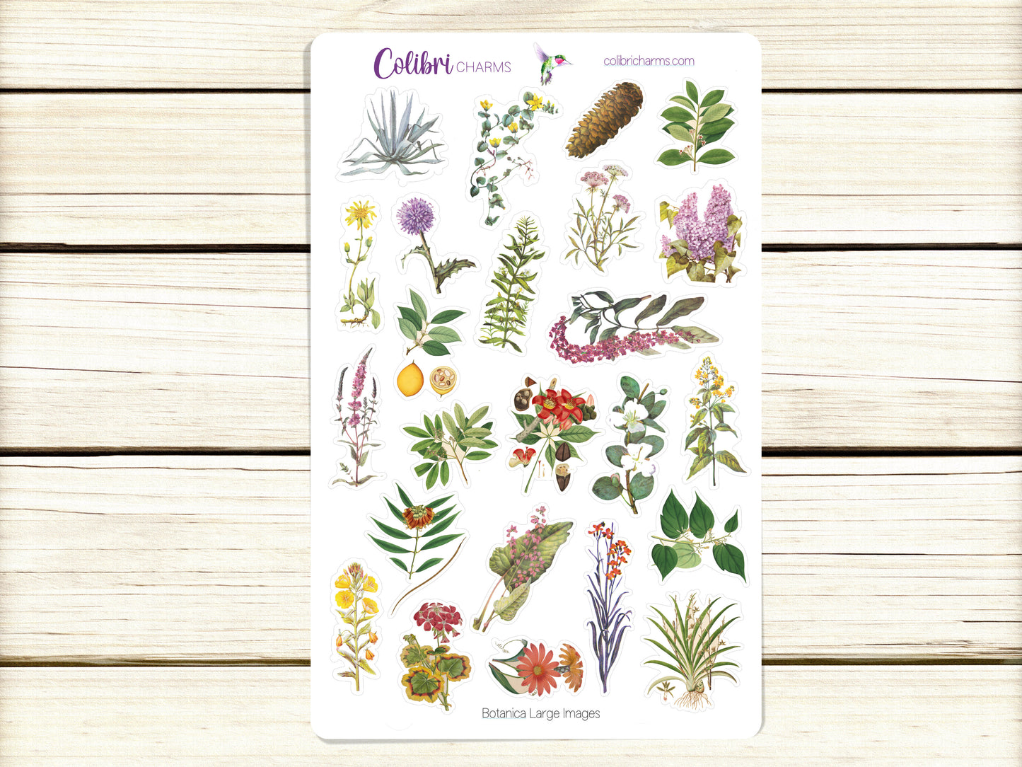 Botanica Planner Stickers, Vintage Deco Stickers, Botanical Deco, Bullet Journal Planner Sticker Kit, Seasonal Planner Stickers