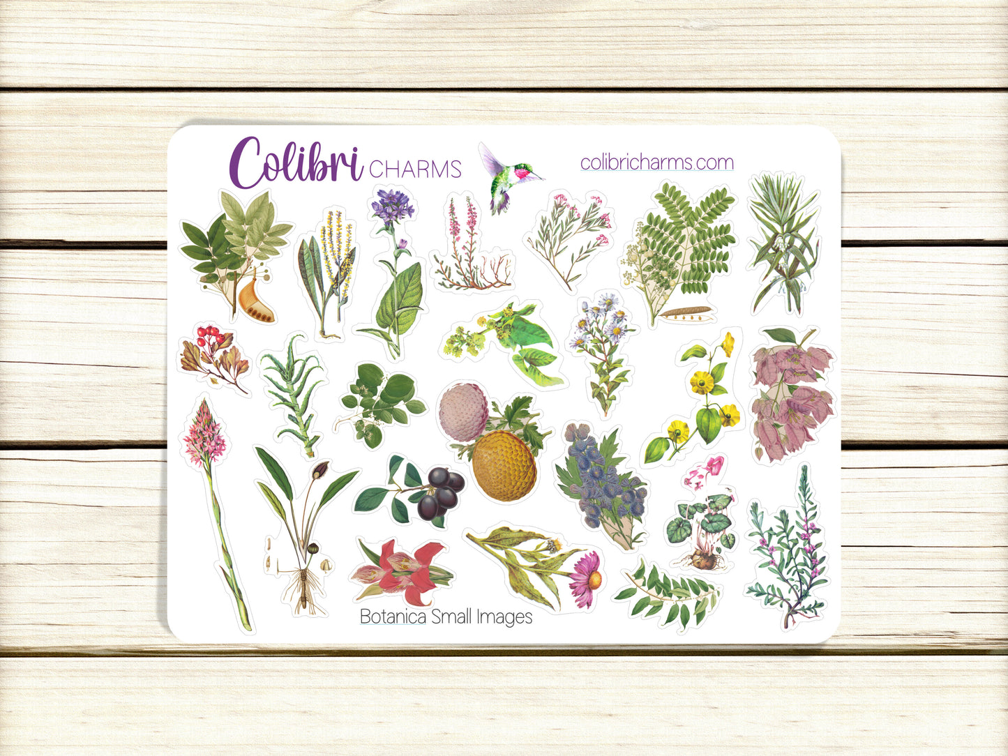 Botanica Planner Stickers, Vintage Deco Stickers, Botanical Deco, Bullet Journal Planner Sticker Kit, Seasonal Planner Stickers