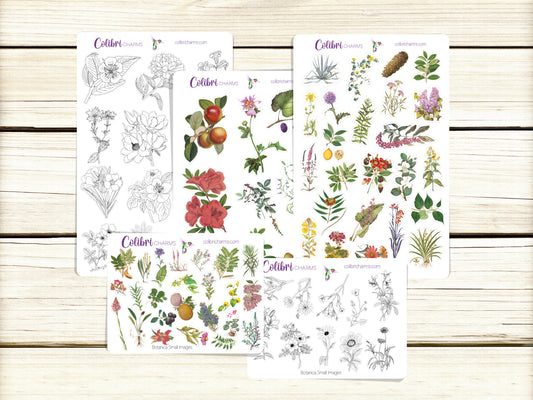 Botanica Planner Stickers, Vintage Deco Stickers, Botanical Deco, Bullet Journal Planner Sticker Kit, Seasonal Planner Stickers