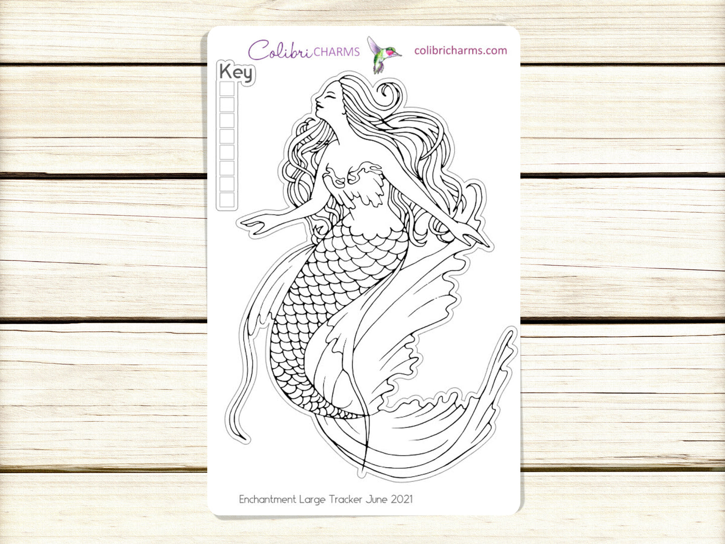 Mermaid Tracker Stickers | Sea Life Bujo Tracker Stickers | Seaside Mood Tracker Stickers | Seasonal Planner Stickersr