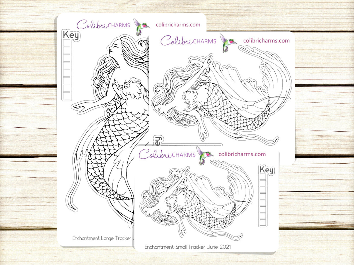 Mermaid Tracker Stickers | Sea Life Bujo Tracker Stickers | Seaside Mood Tracker Stickers | Seasonal Planner Stickersr