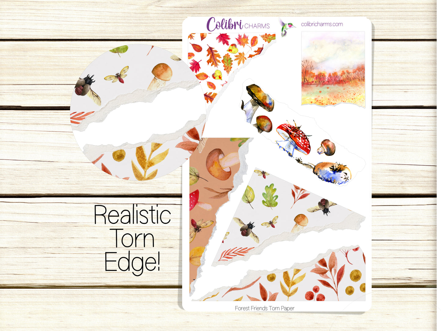 Forest Friends Torn Paper Stickers | Autumn Animals | Fall Deco Planner Stickers | Distressed Ripped Paper