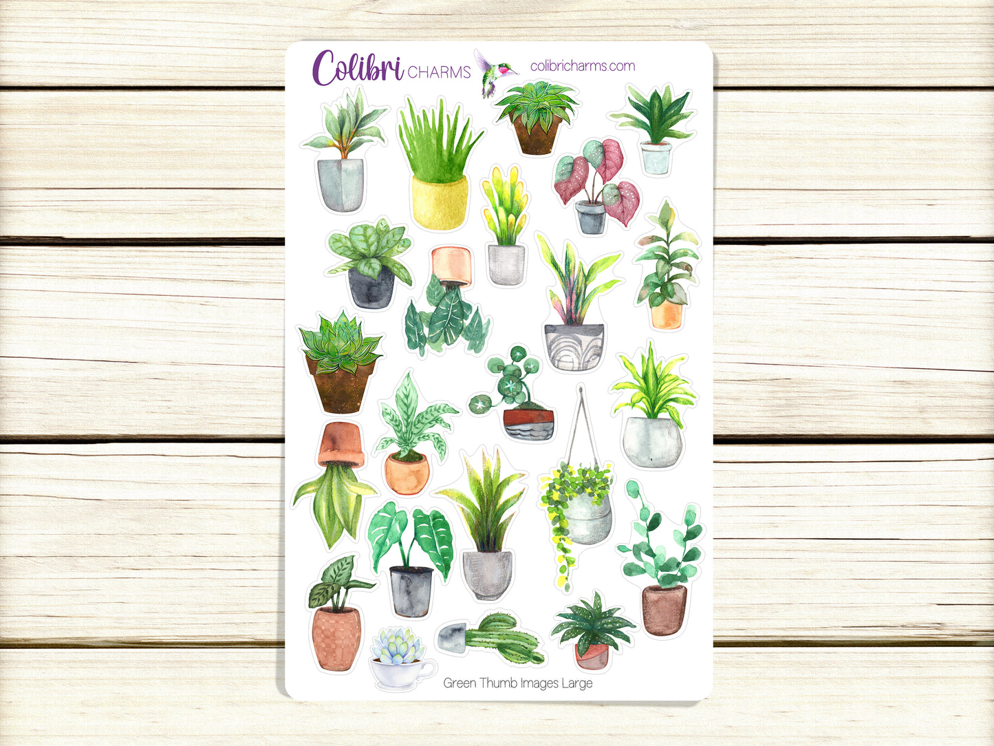 Green Thumb Planner Stickers | Plant Lovers’ Stickers | Plant Fan Stickers | Houseplant Stickers | Seasonal Planner Stickers