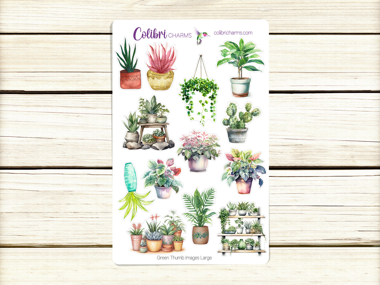 Green Thumb Planner Stickers | Plant Lovers’ Stickers | Plant Fan Stickers | Houseplant Stickers | Seasonal Planner Stickers