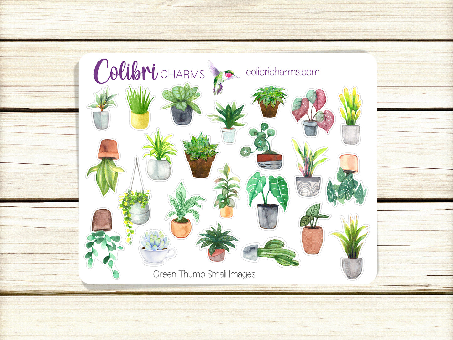 Green Thumb Planner Stickers | Plant Lovers’ Stickers | Plant Fan Stickers | Houseplant Stickers | Seasonal Planner Stickers