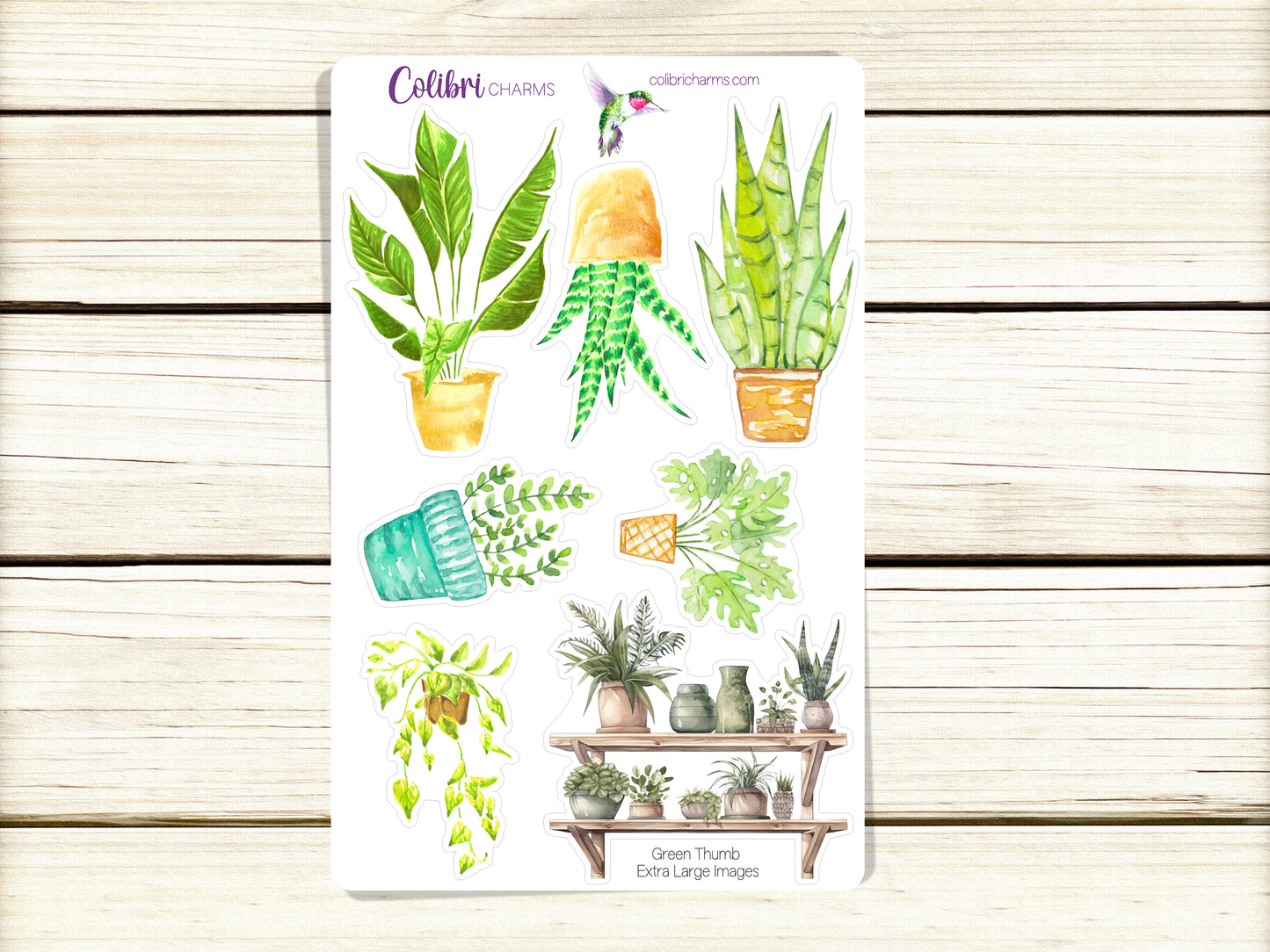 Green Thumb Planner Stickers | Plant Lovers’ Stickers | Plant Fan Stickers | Houseplant Stickers | Seasonal Planner Stickers