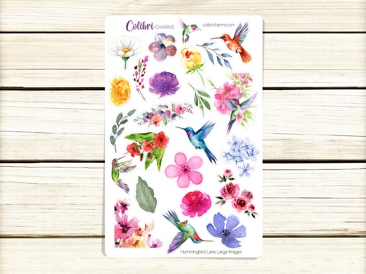 Hummingbird Lane Planner Stickers | Floral Deco Stickers | Watercolor Deco | Summer Planner Sticker Kit | Seasonal Planner Stickers