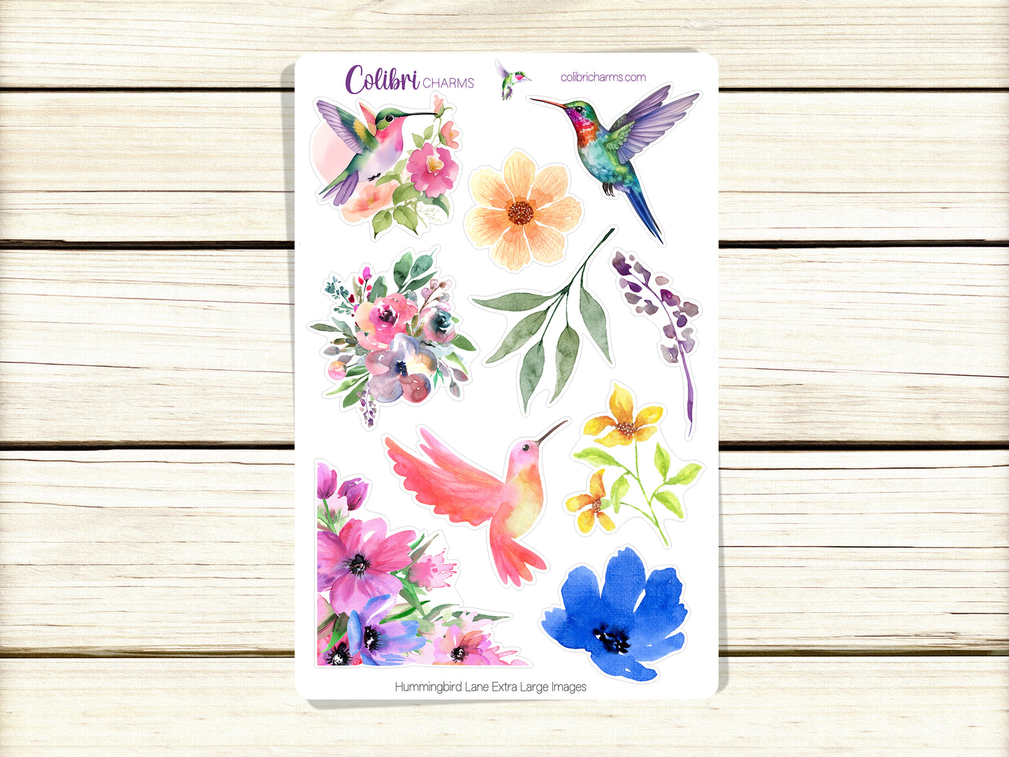 Hummingbird Lane Planner Stickers | Floral Deco Stickers | Watercolor Deco | Summer Planner Sticker Kit | Seasonal Planner Stickers