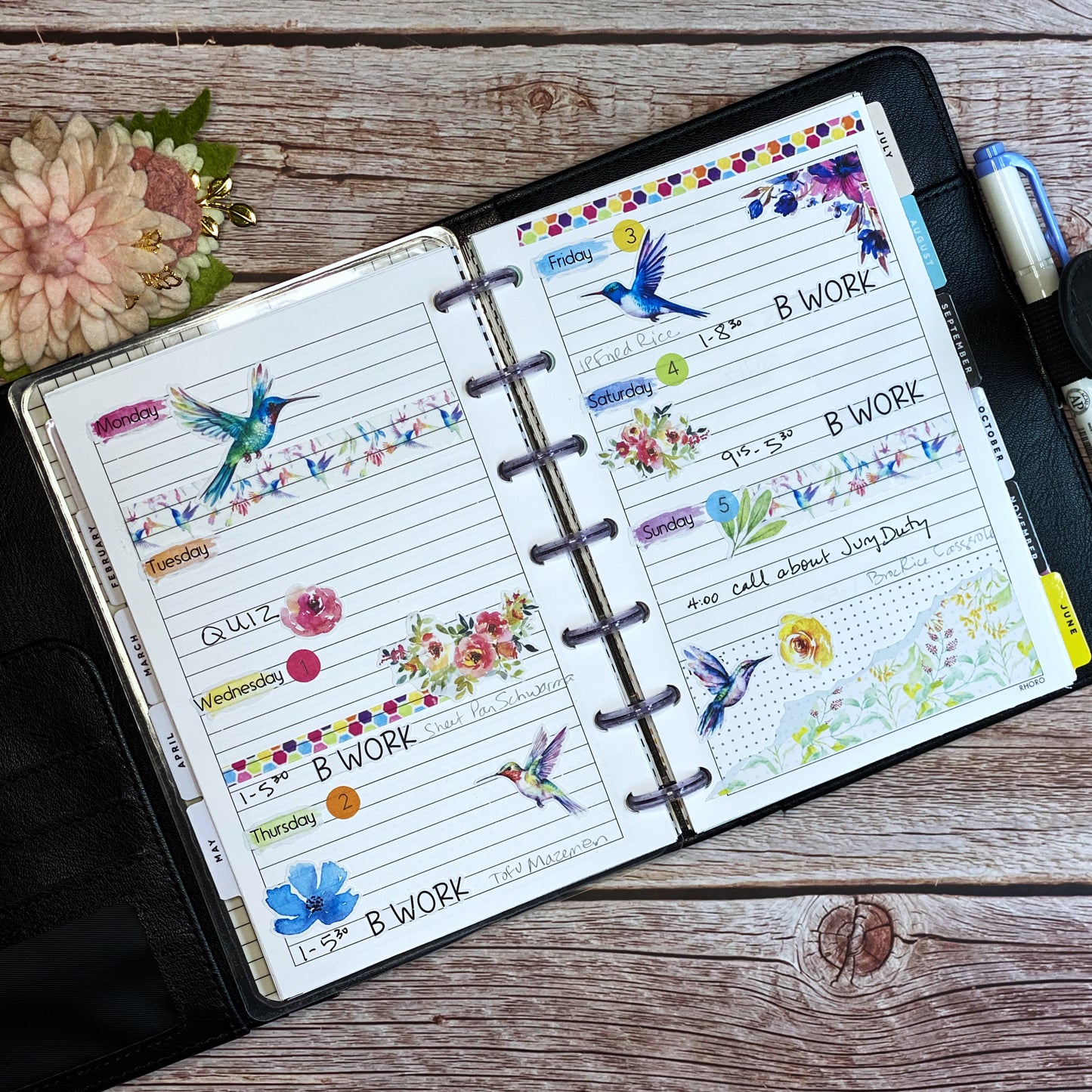 Hummingbird Lane Brushstroke Days of the Week Planner Stickers | Colorful Watercolor DOTW | Number Stickers | Date Dots