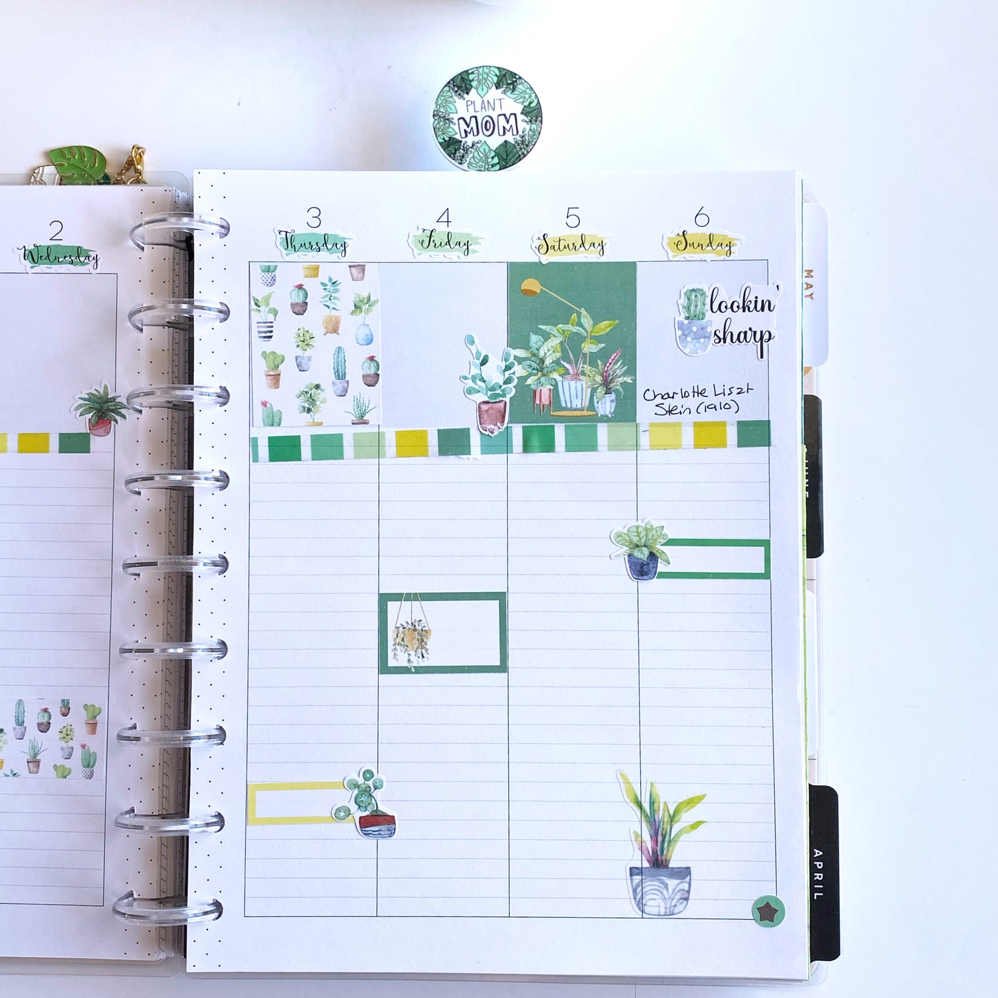 Green Thumb Box Planner Stickers | Plant Lovers' Stickers | Classic Happy Planner Stickers | Seasonal Planner Stickers | EC Stickers