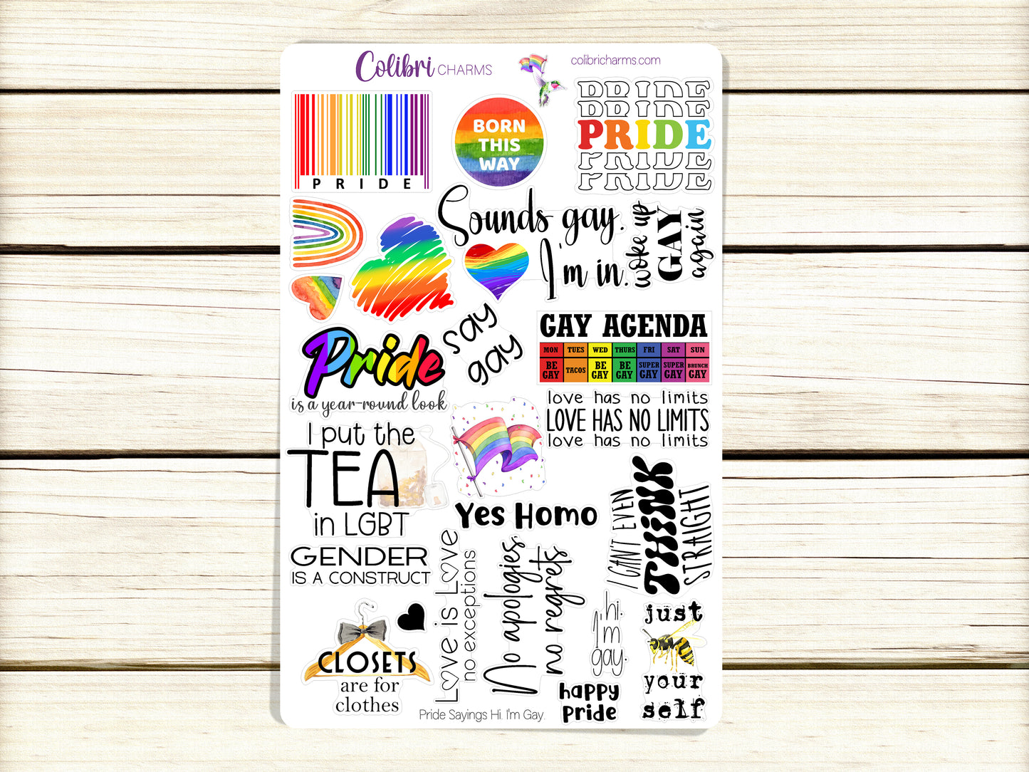 Gay Pride Planner Stickers | LGBTQ+ Quote Stickers | Love Wins | Pride Month Planner Sticker Kit | Love Is Love Planner Stickers