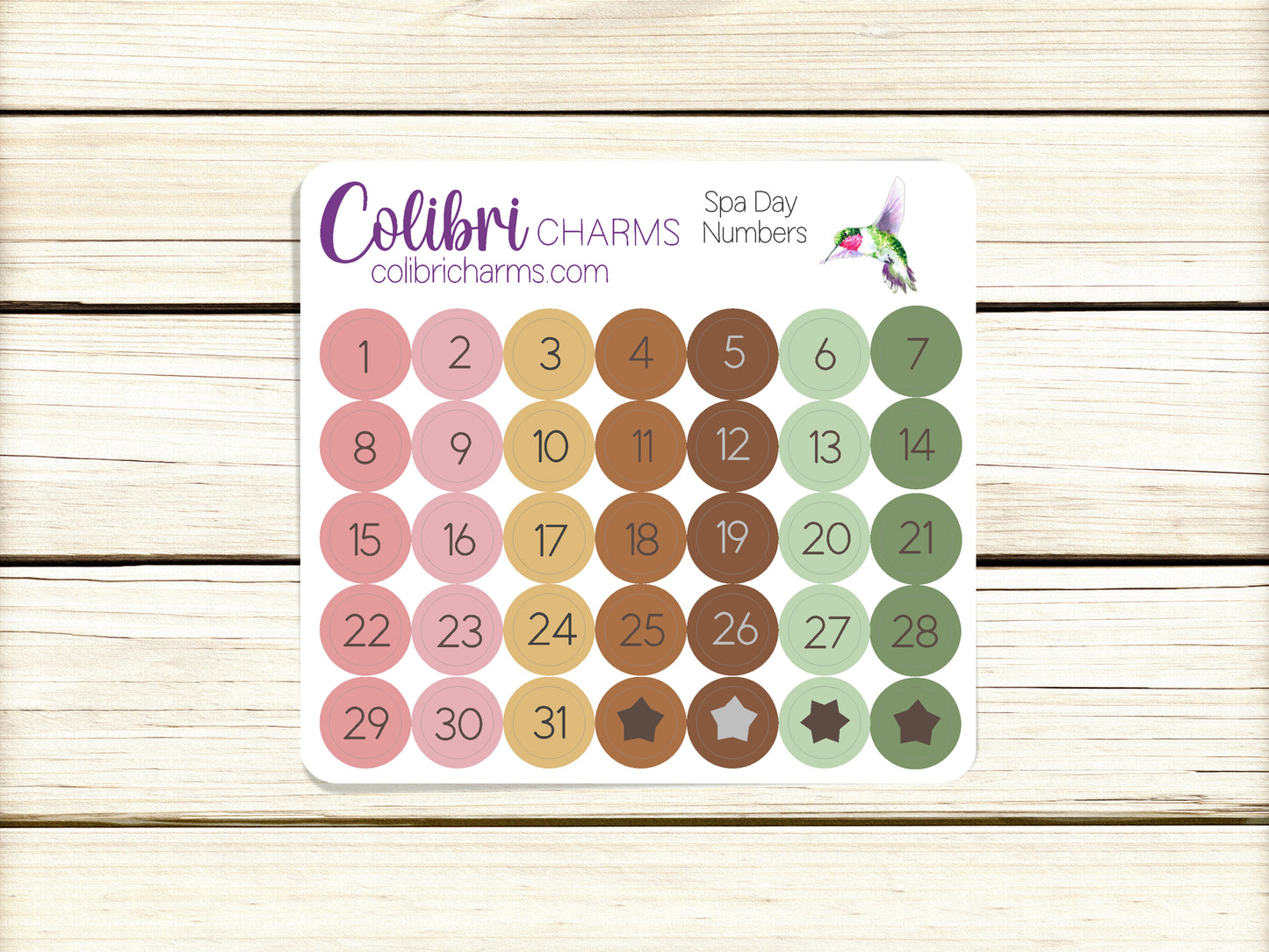 Spa Day Brushstroke Days of the Week Planner Stickers | Colorful Watercolor DOTW | Number Stickers | Date Dots