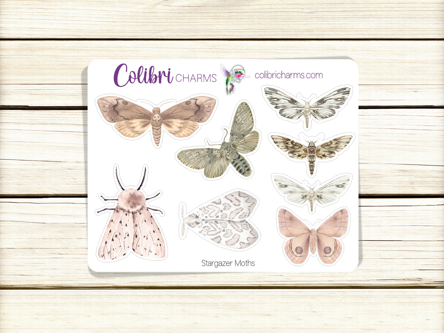 Moth Planner Stickers | Celestial Watercolor DOTW | Stargazer Stickers | Night Sky | Insects