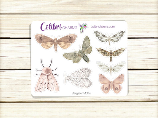 Moth Planner Stickers | Celestial Watercolor DOTW | Stargazer Stickers | Night Sky | Insects