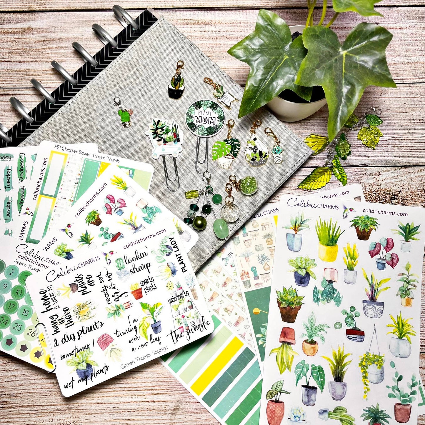 Green Thumb Planner Stickers | Plant Lovers’ Stickers | Plant Fan Stickers | Houseplant Stickers | Seasonal Planner Stickers