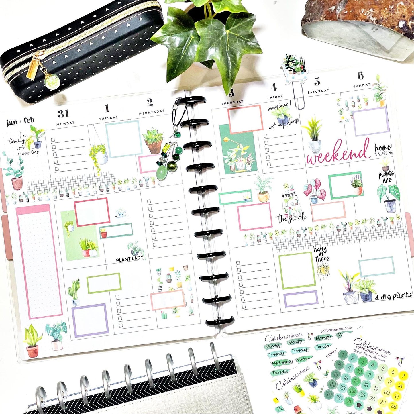 Green Thumb Brushstroke Days of the Week Planner Stickers | Watercolor DOTW Stickers | Number Stickers | Date Dots | Date Stickers