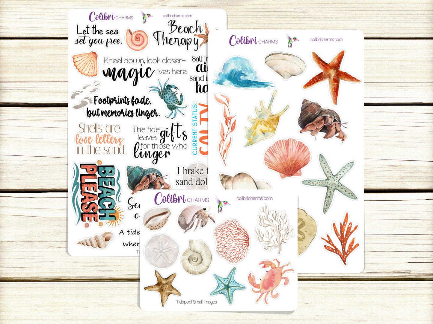 Tidepool Planner Stickers, Seaside Deco Stickers, Beachy Deco, Seashells Planner Sticker Kit, Seasonal Planner Stickers