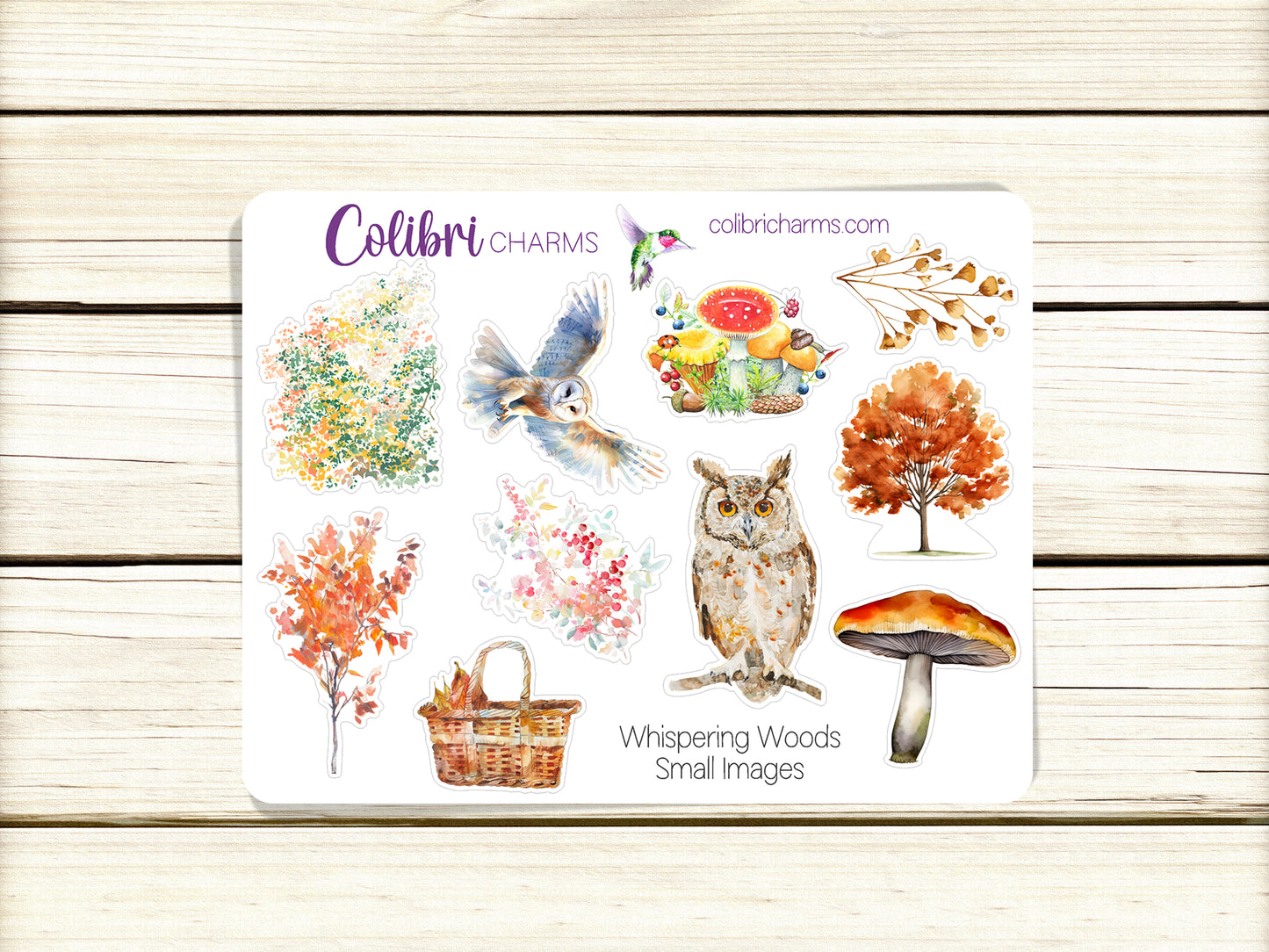 Whispering Woods Planner Stickers | Autumn Deco Stickers | Owl Deco | Mushroom Planner Sticker Kit | Seasonal Planner Stickers