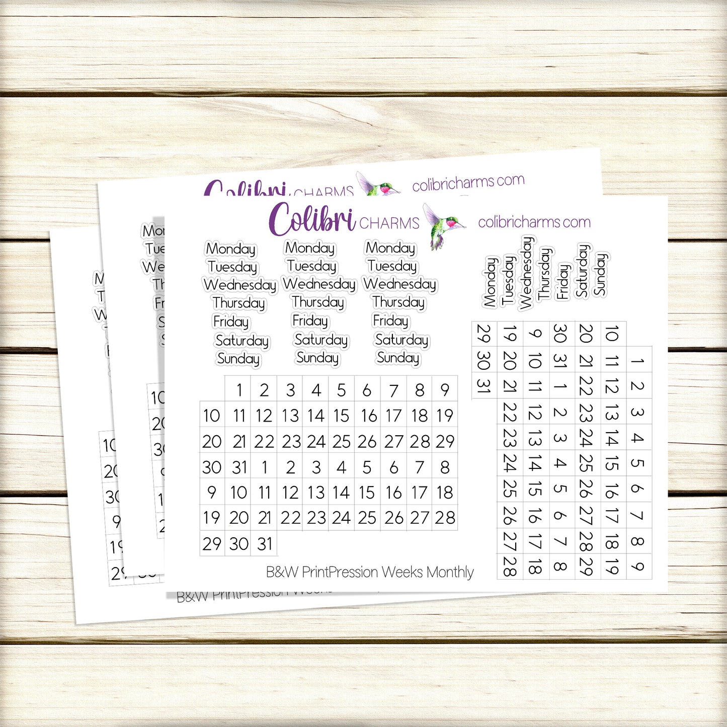 Black & White PrintPression Weeks Monthly Planner Stickers | Neutral Watercolor DOTW | Tiny Number Stickers | Date Dots