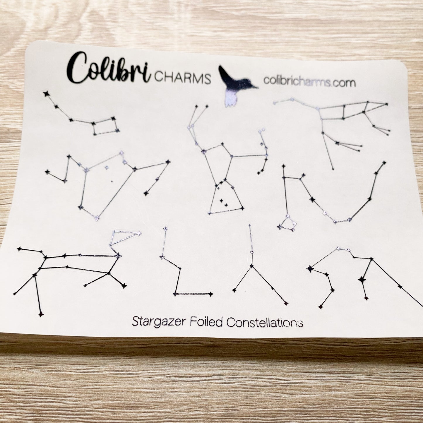 Stargazer Constellation Star Space Seasonal