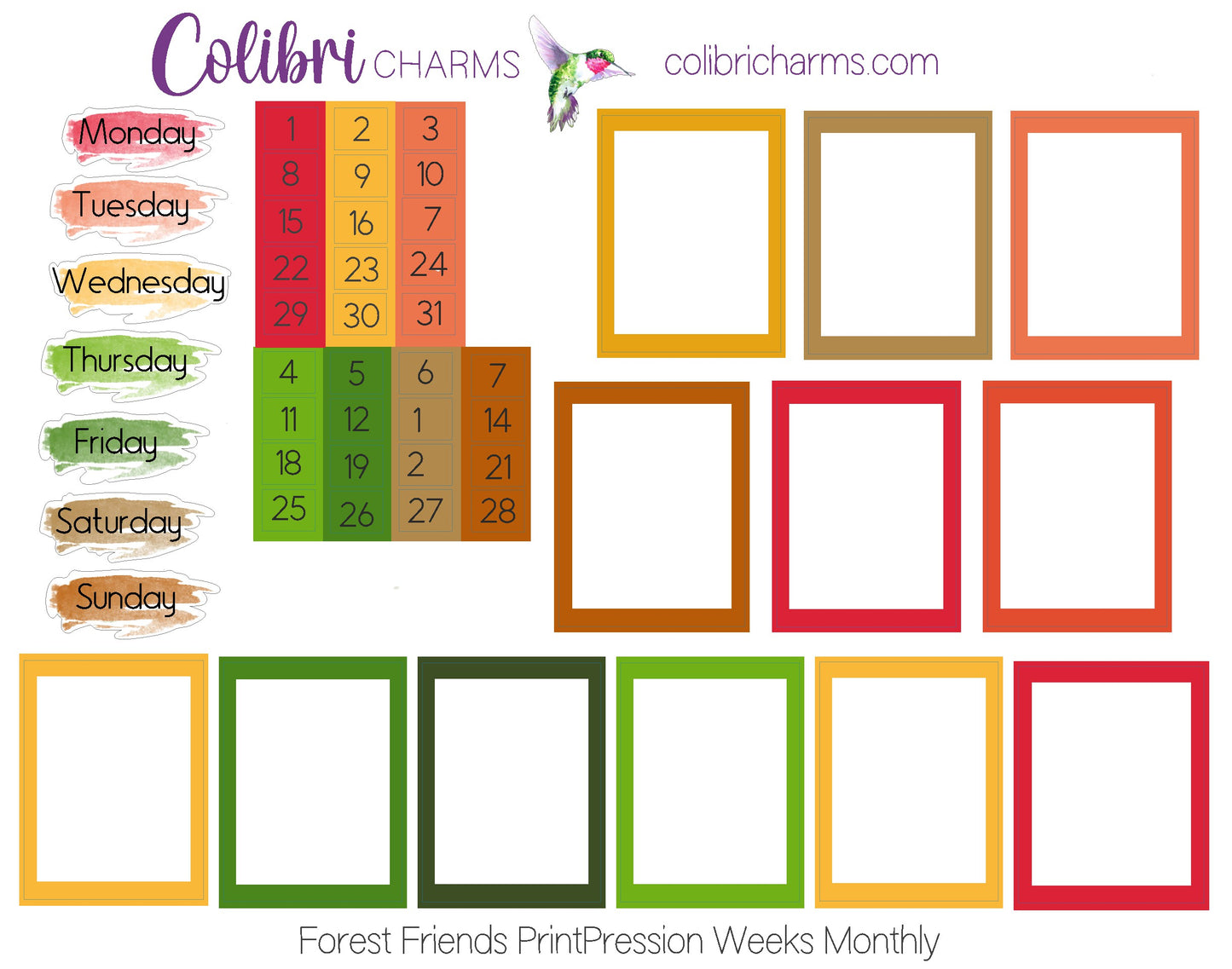 Forest Friends PrintPression Weeks Monthly Planner Stickers | Colorful Watercolor DOTW | Tiny Number Stickers | Date Dots