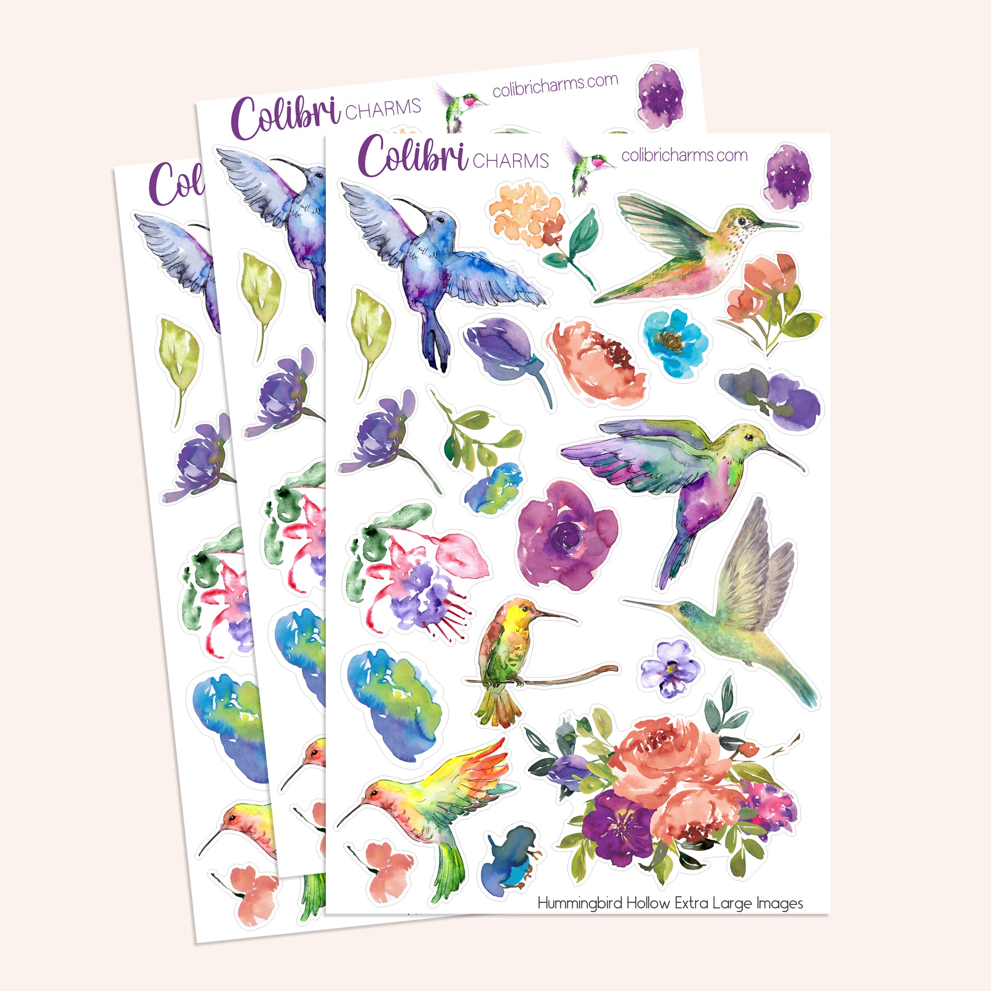 Watercolor hummingbird and floral planner stickers