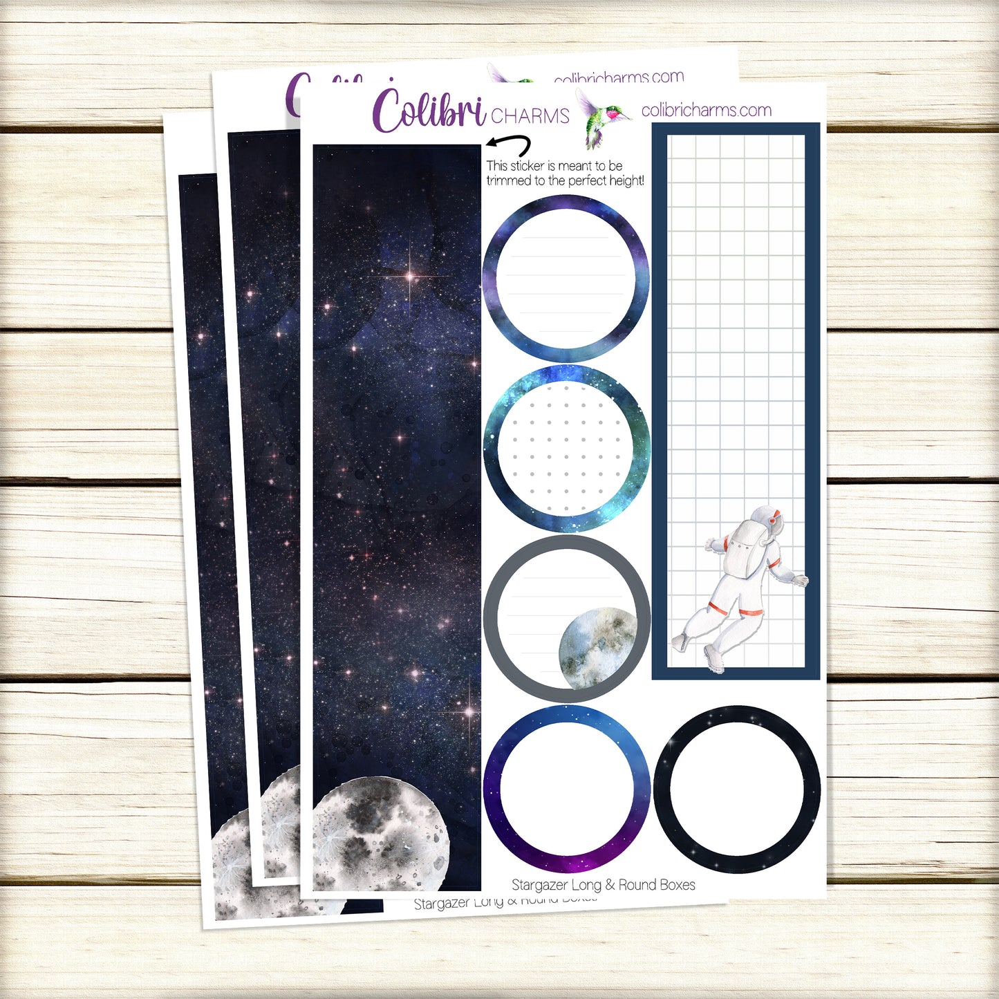 Stargazer Box Planner Stickers | Space Themed | Celestial Happy Planner Stickers | Seasonal Planner |