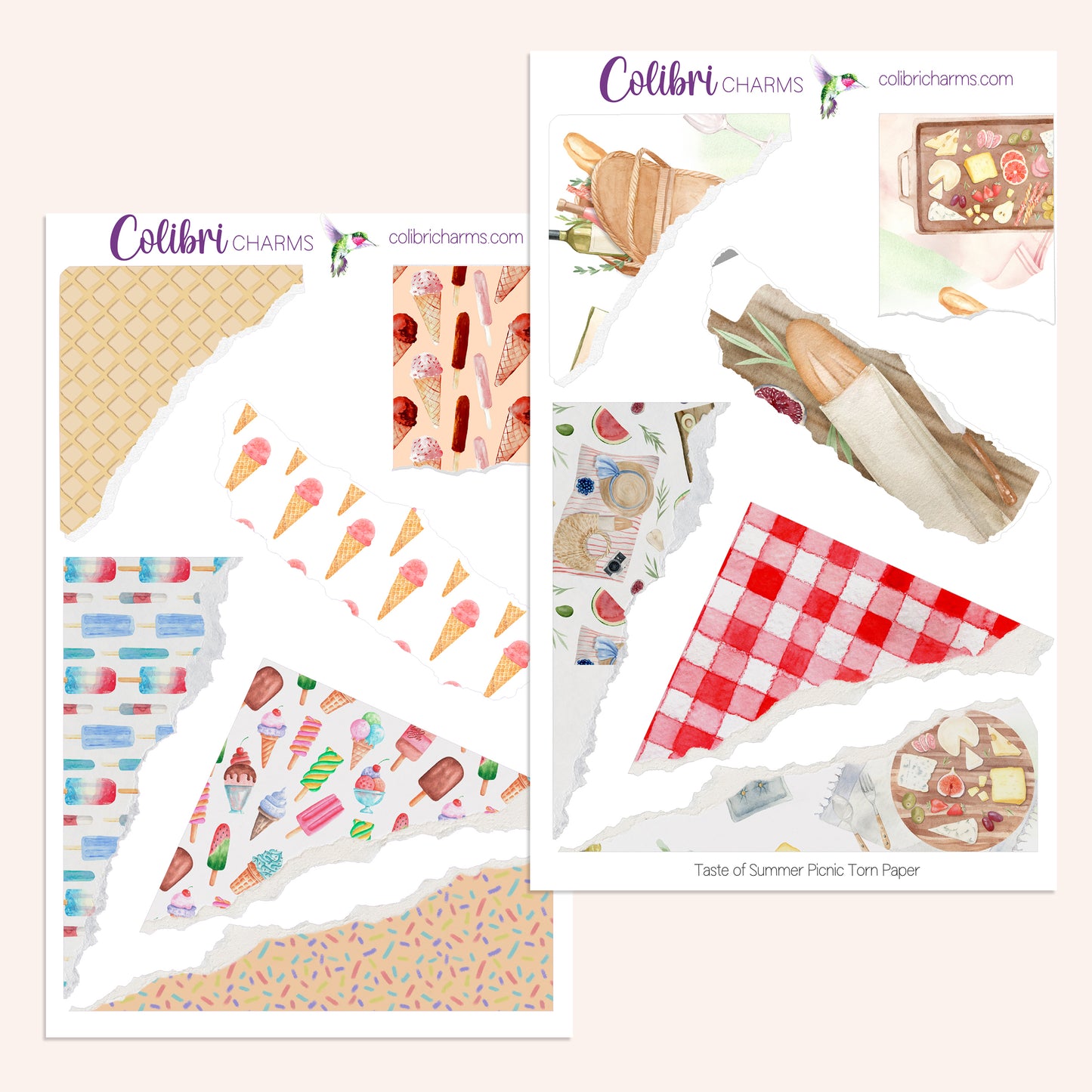 Taste of Summer Torn Paper Stickers | Picnic | Ice Cream Lovers Planner Stickers | Seasonal Planner Stickers | Ripped Paper