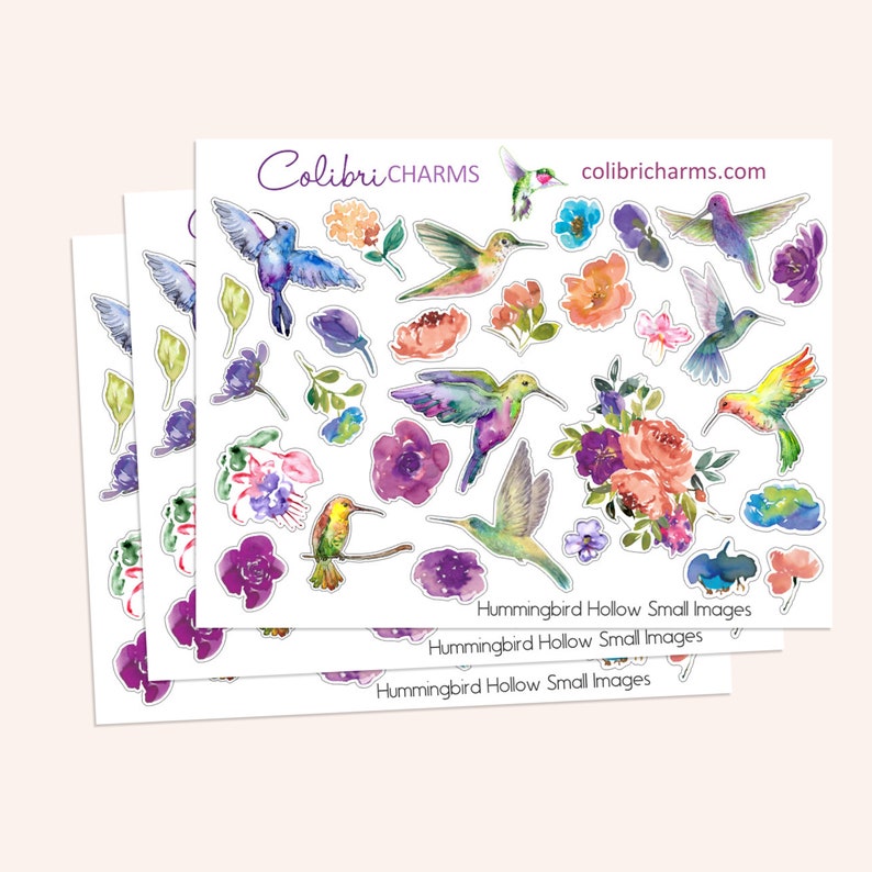 Watercolor hummingbird and floral planner stickers